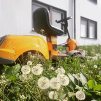 Ein orangefarbener Aufsitzmäher steht inmitten einer Wiese mit Löwenzahn und Wildblumen vor einem Wohngebäude – Symbol für saisonale Garten- und Rasenpflege.