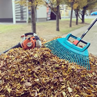 Ein großer Haufen Herbstlaub liegt am Wegesrand, darauf ein Laubbläser und ein blauer Rechen – Symbol für professionelle Laubentfernung in öffentlichen oder privaten Außenbereichen.