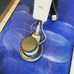 Ein Mitarbeiter der Herdegen Gebäudeservice GmbH reinigt mit einer professionellen Maschine einen blauen Teppich gründlich und fasertief.